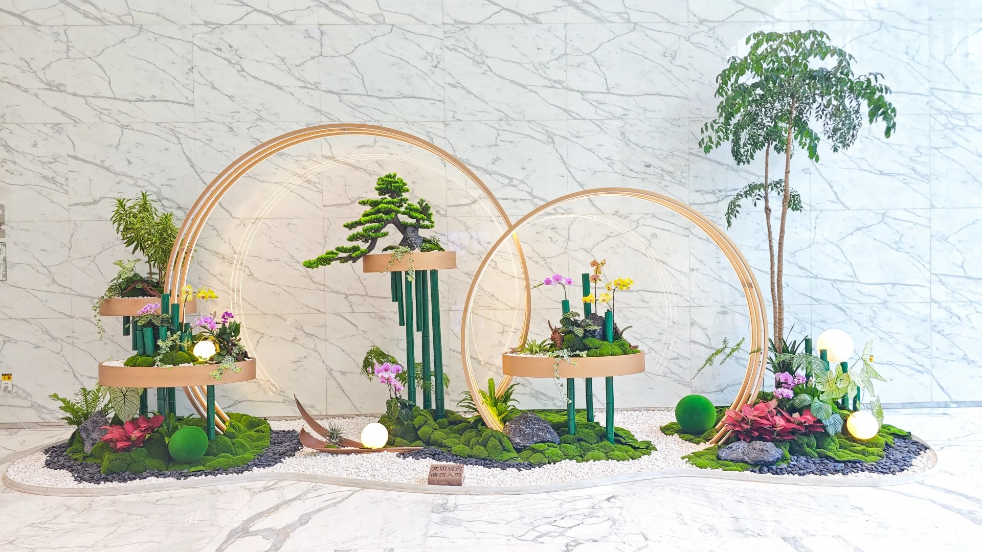 专业植物出租，为宁波镇海增添一抹绿意